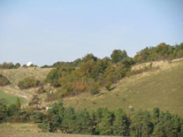 village2022-_maj-juil2023030001.jpg